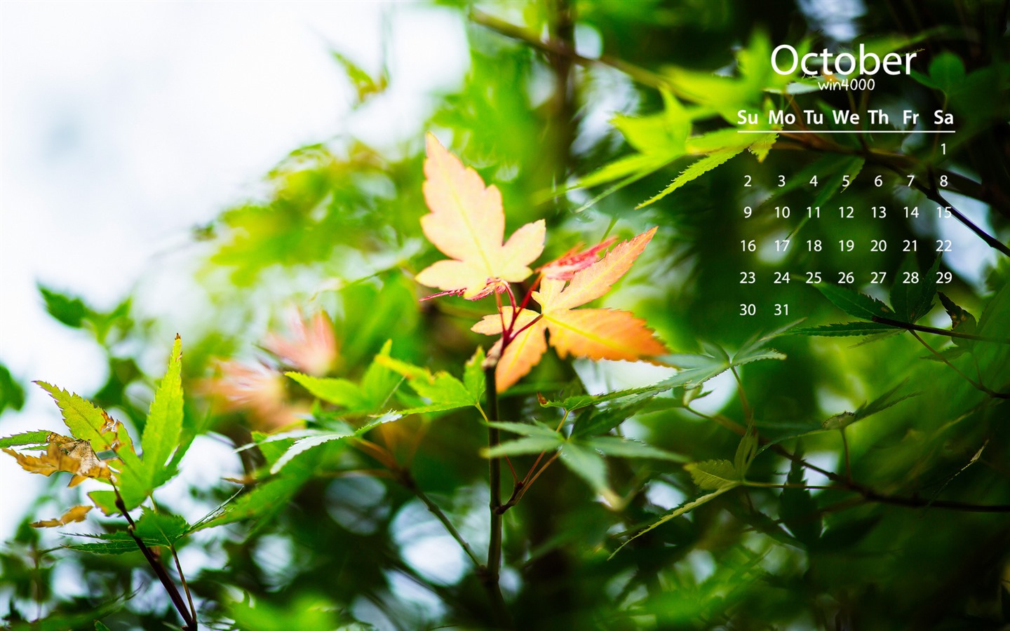 De octubre de el año 2016 fondo de pantalla de calendario (2) #4 - 1440x900