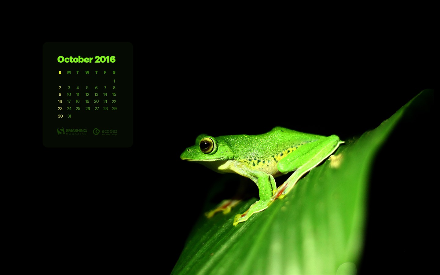 De octubre de el año 2016 fondo de pantalla de calendario (2) #12 - 1440x900