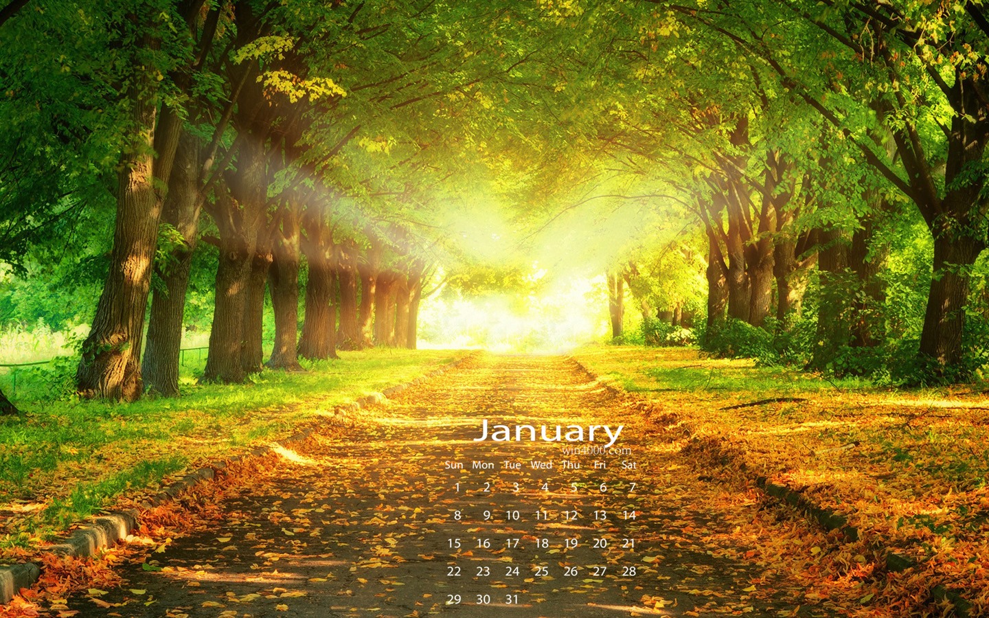 Januar 2017 Kalender Hintergrund (1) #2 - 1440x900