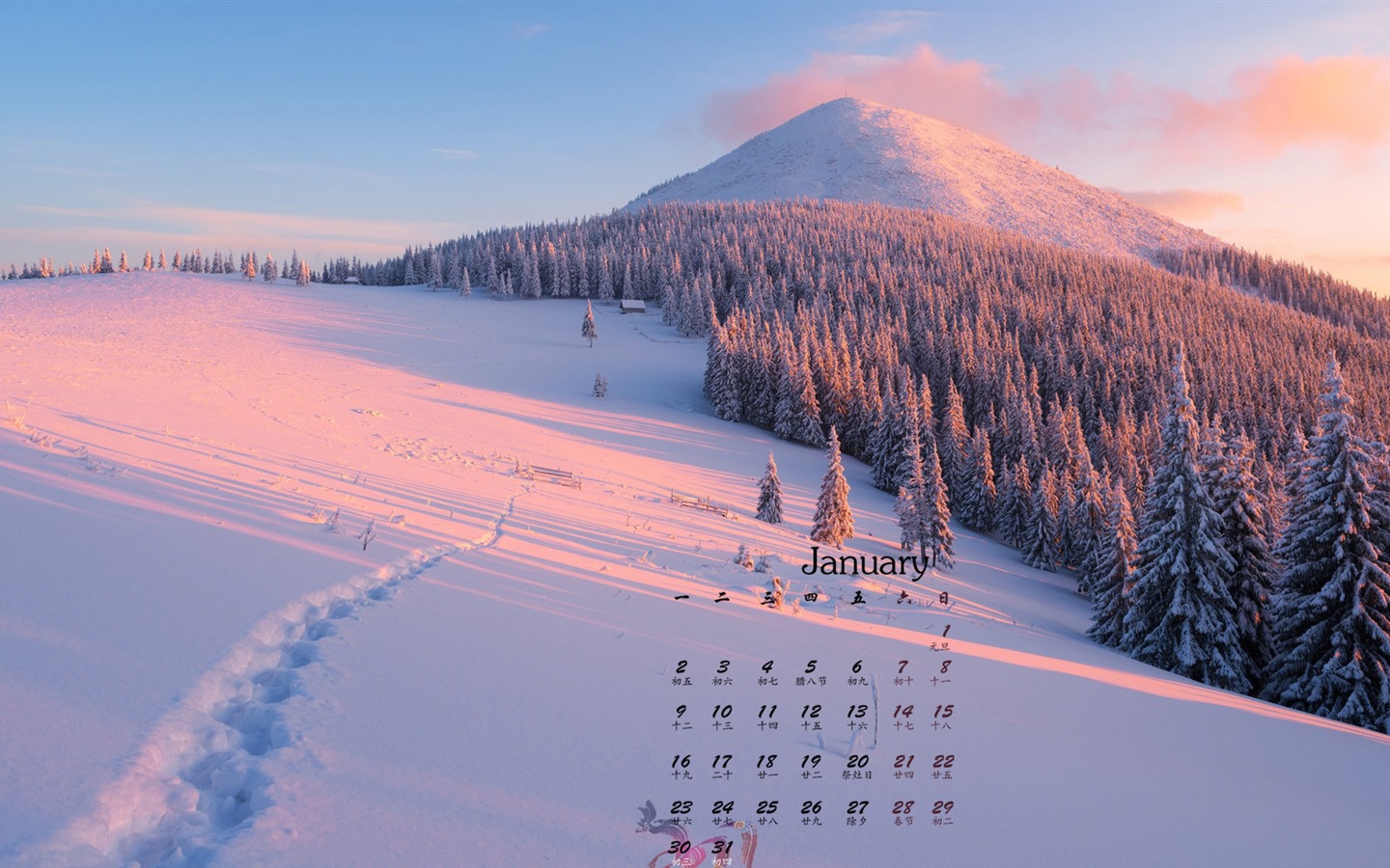 Januar 2017 Kalender Hintergrund (1) #7 - 1440x900