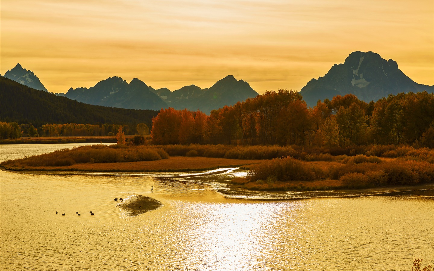 미국 그랜드 Teton 국립 공원 자연 풍경의 HD 월페이퍼 #12 - 1440x900