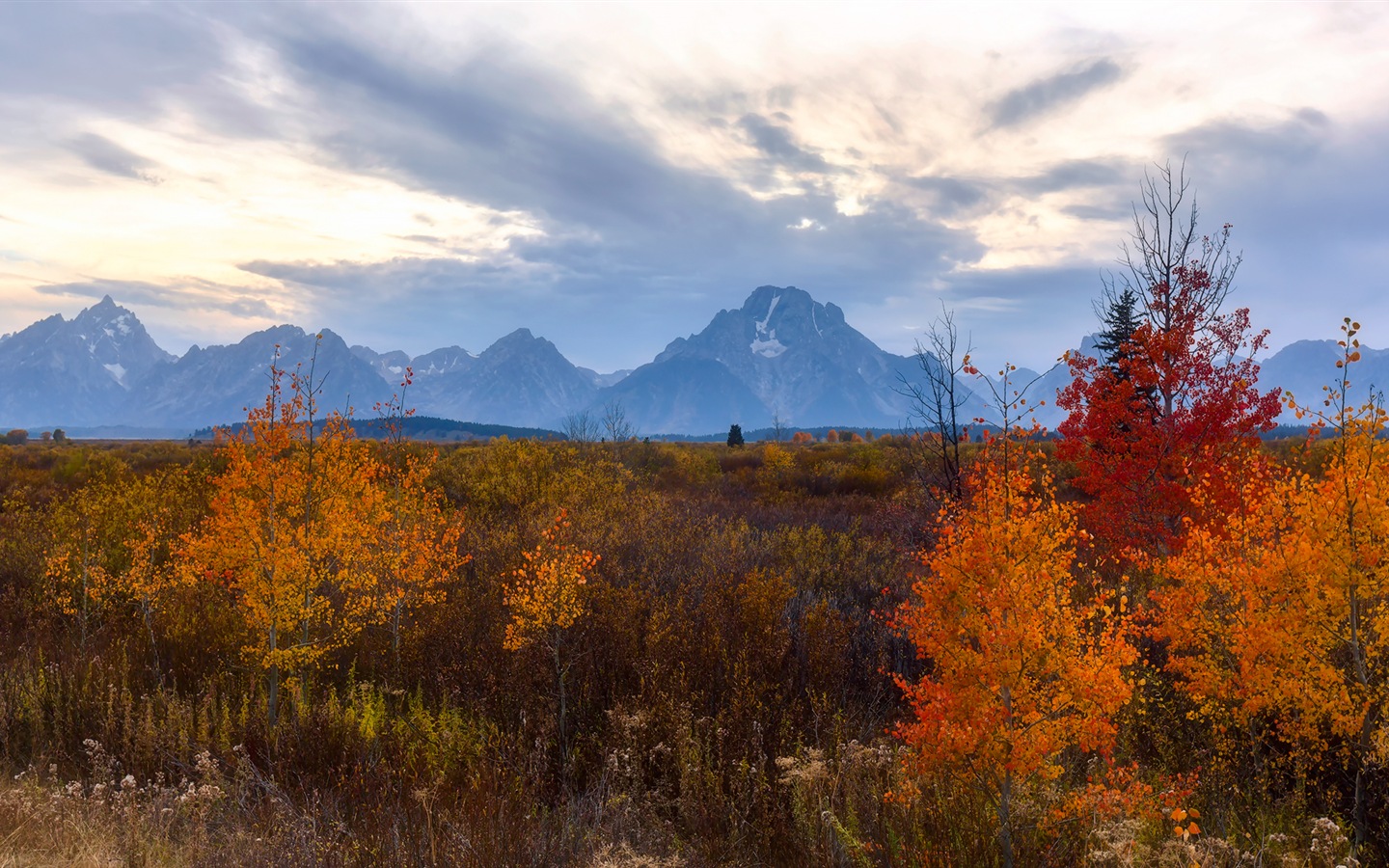 미국 그랜드 Teton 국립 공원 자연 풍경의 HD 월페이퍼 #17 - 1440x900