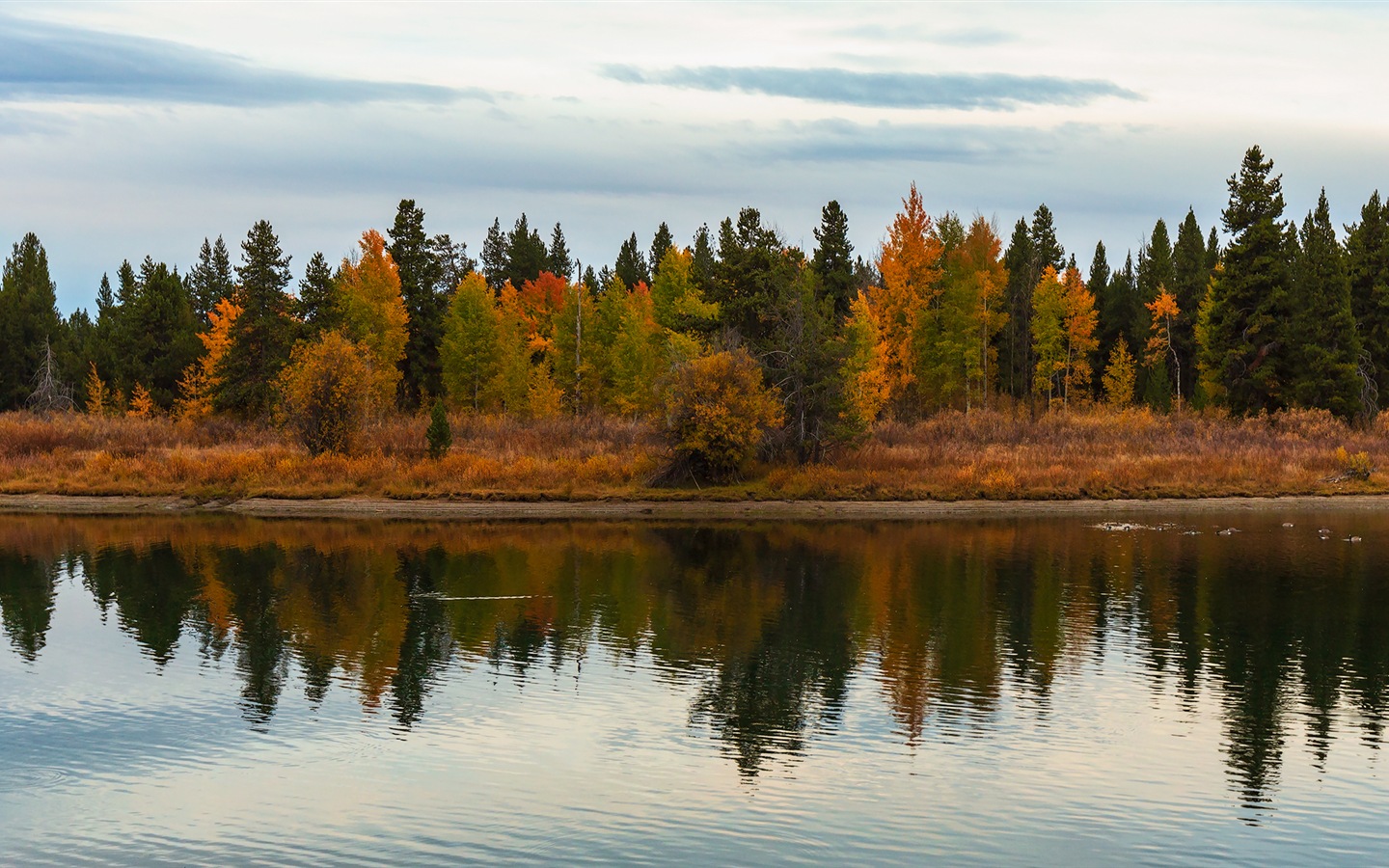 미국 그랜드 Teton 국립 공원 자연 풍경의 HD 월페이퍼 #18 - 1440x900