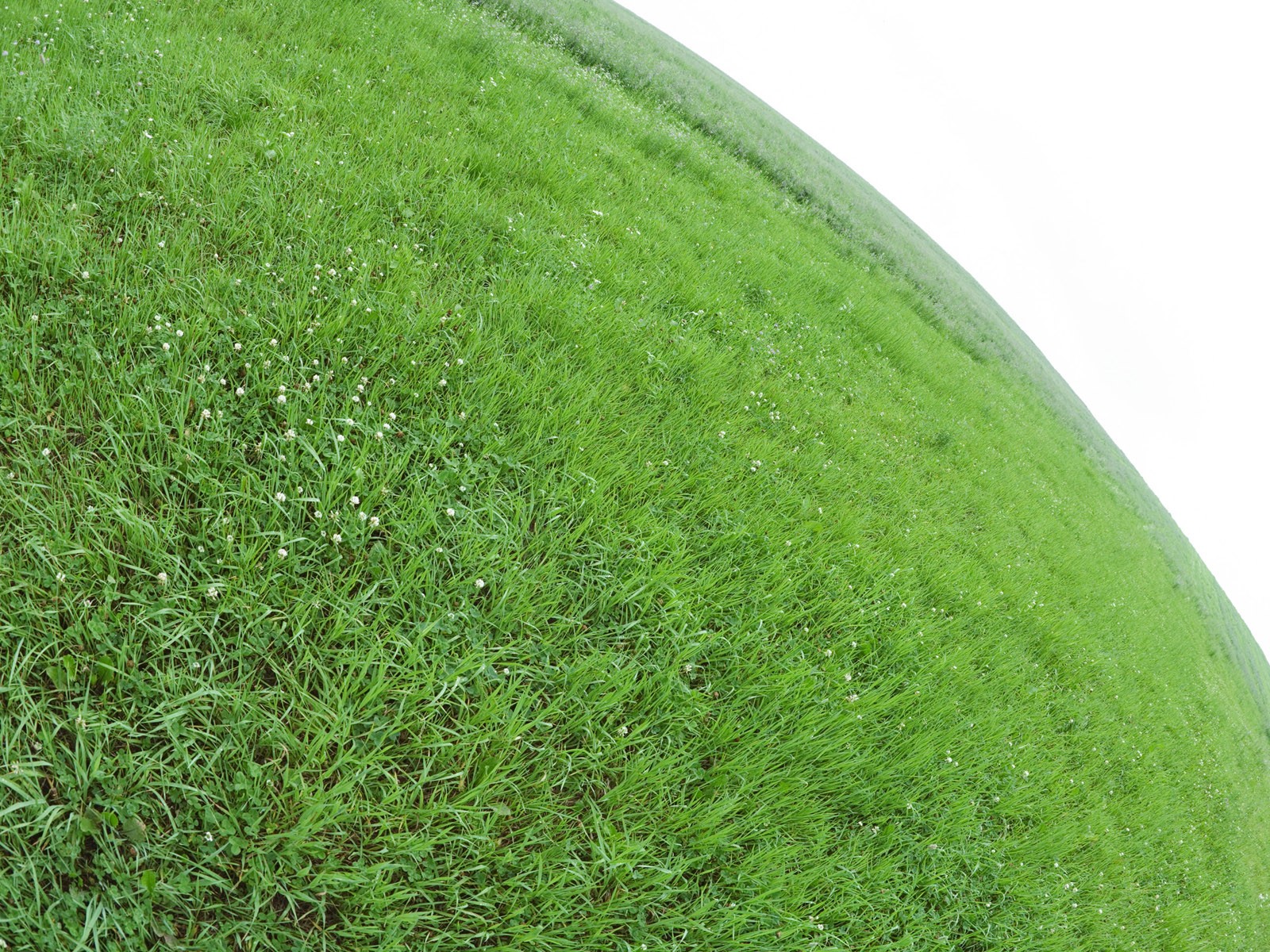 Green Grass обои (1) #12 - 1600x1200