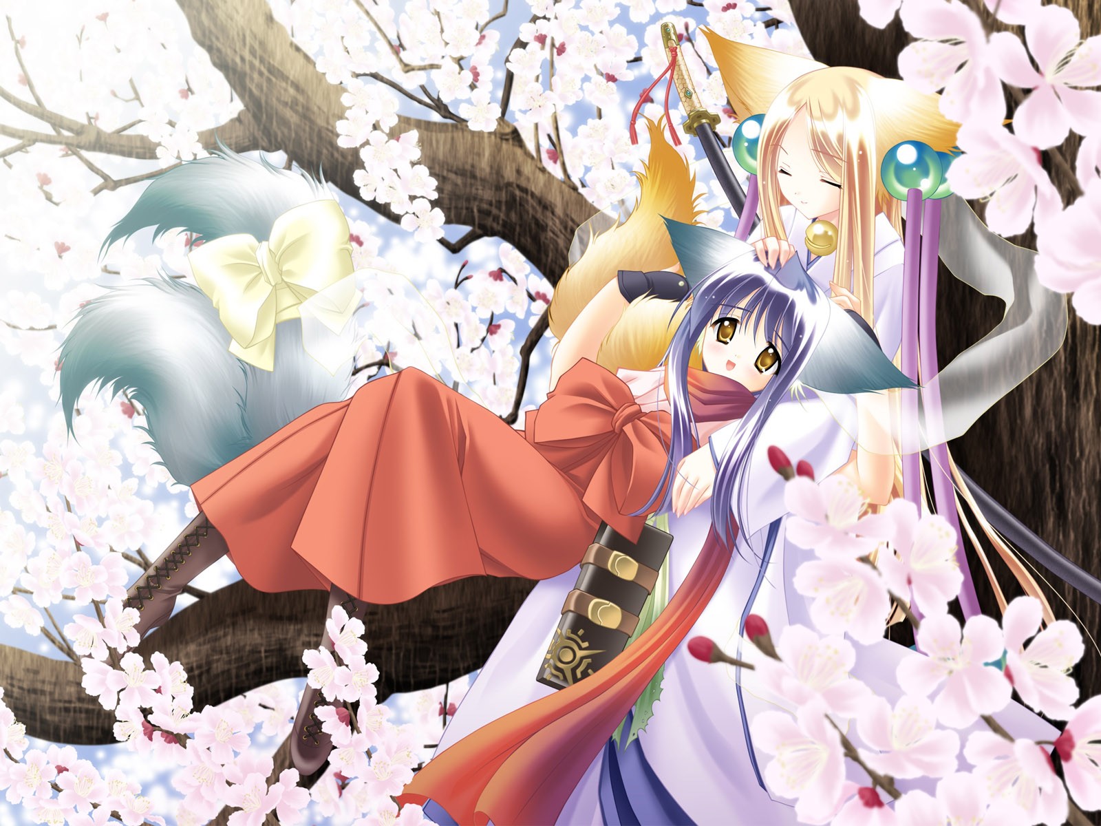 Sakura dance lovely MM (1) #15 - 1600x1200