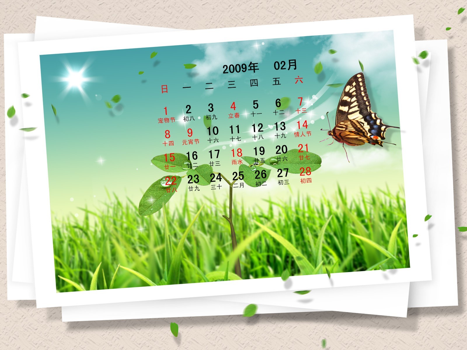 PaperArt 09 años en el fondo de pantalla de calendario febrero #29 - 1600x1200