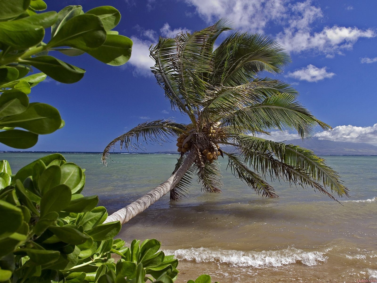 havajské pláži scenérie #13 - 1600x1200