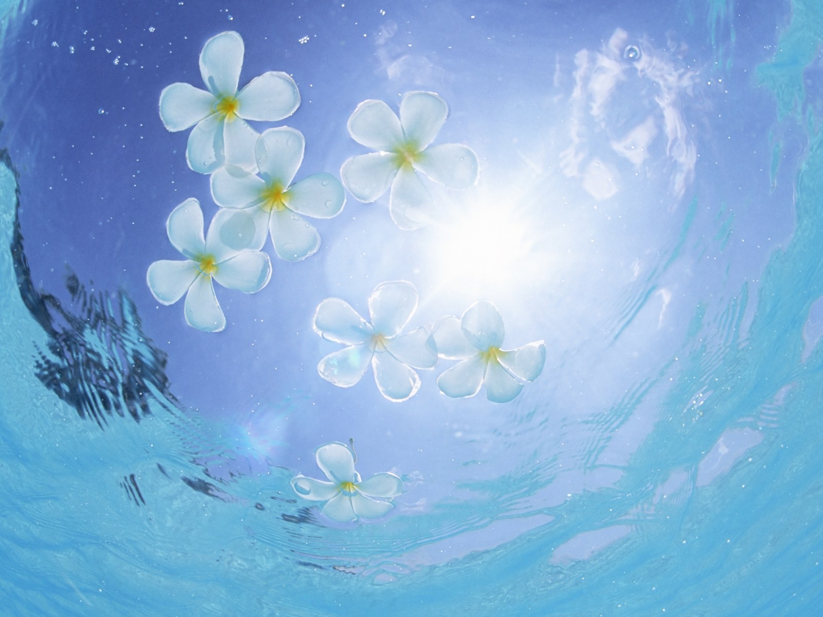 몰디브 물과 푸른 하늘 #10 - 1600x1200
