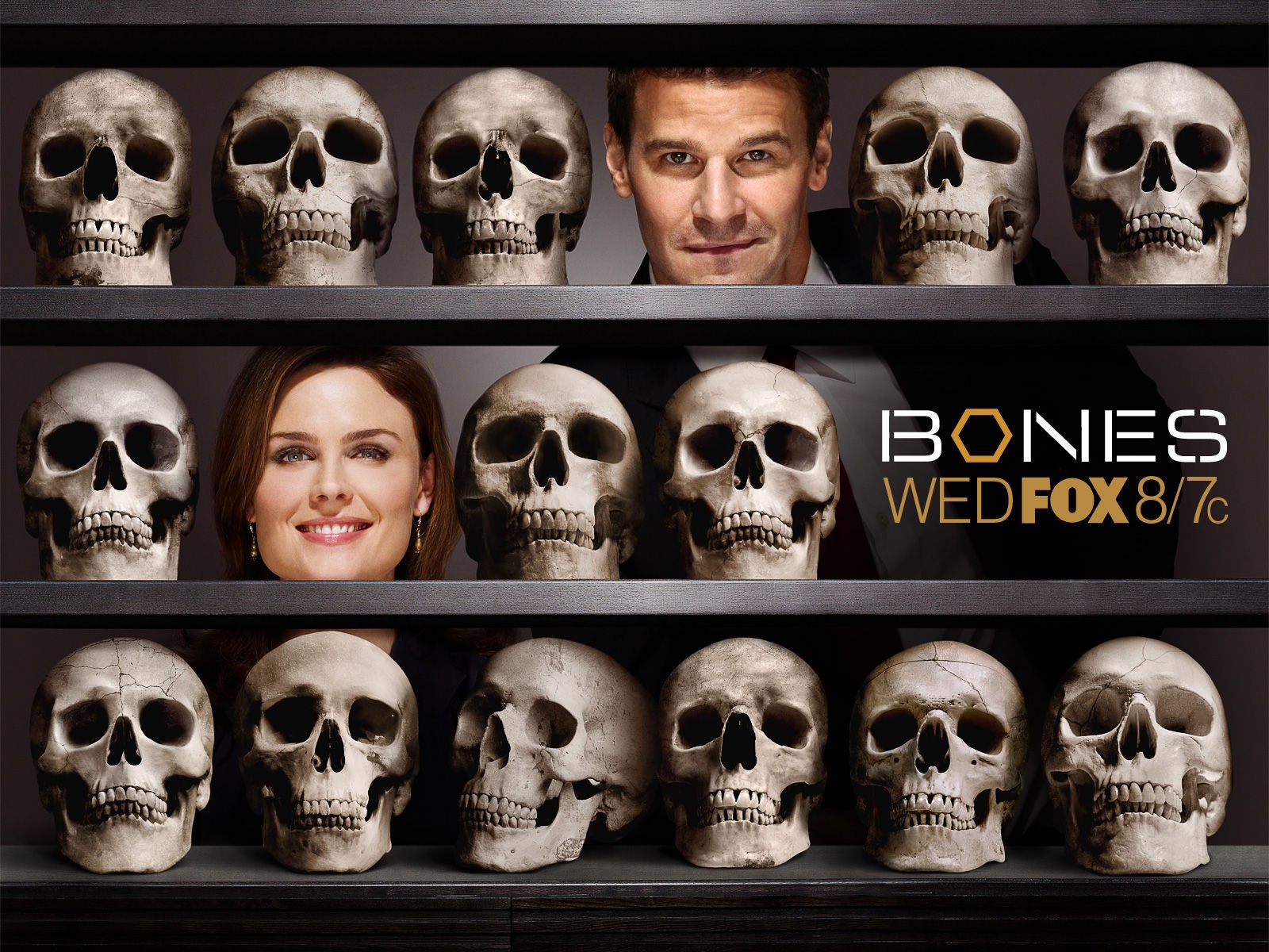 Bones wallpaper #5 - 1600x1200