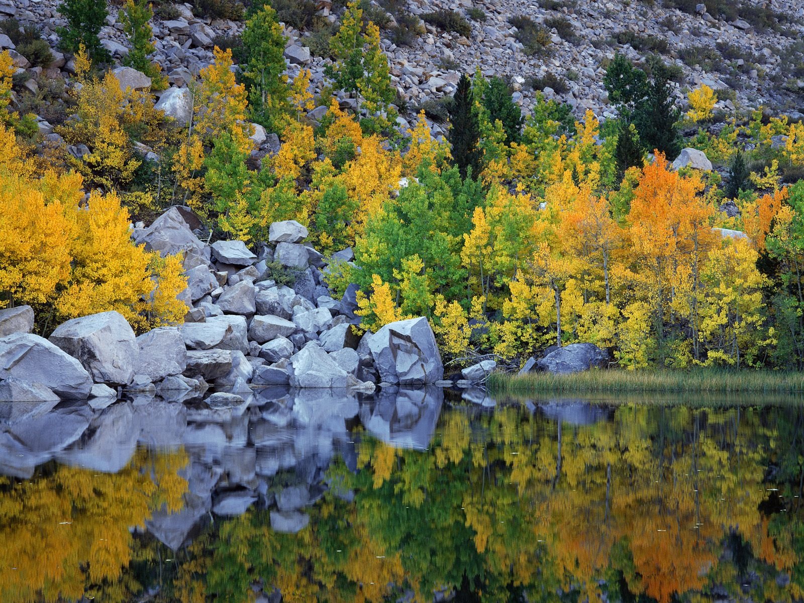 Podzimní krajina krásná tapeta #13 - 1600x1200