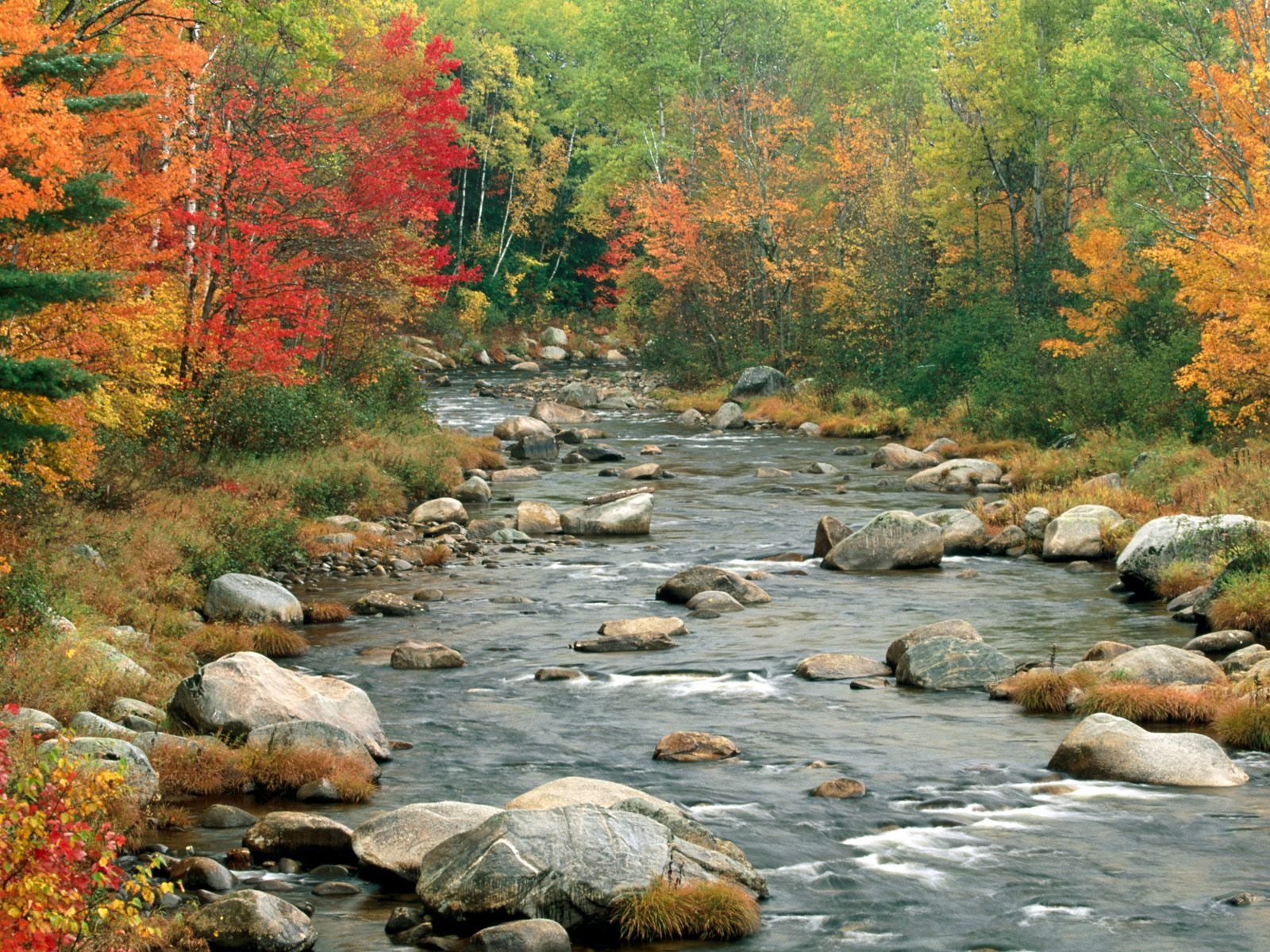 Podzimní krajina krásná tapeta #15 - 1600x1200