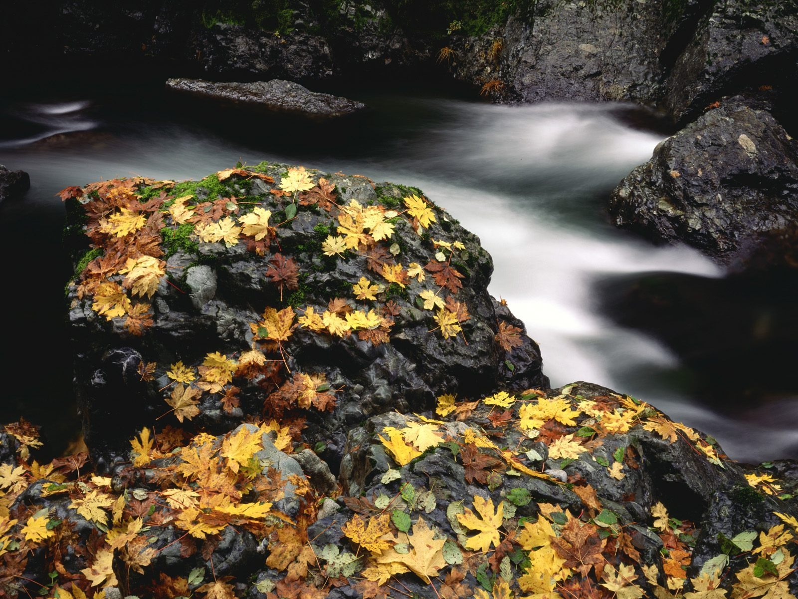 Podzimní krajina krásná tapeta #20 - 1600x1200