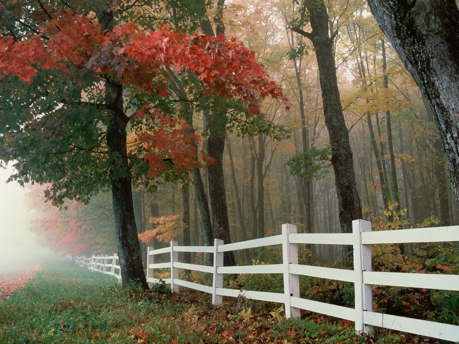 Podzimní krajina krásná tapeta #24 - 1600x1200