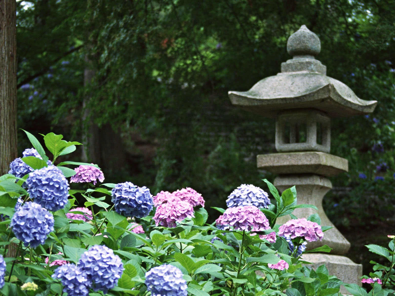 Especial del Japón fondos de escritorio de la Cultura #7 - 1600x1200