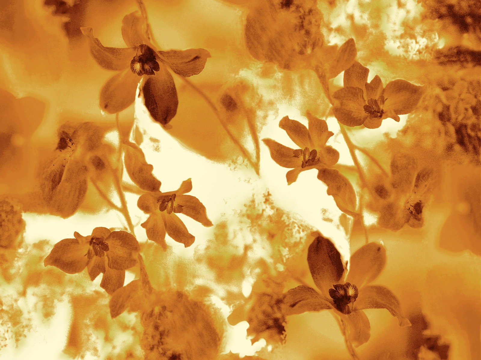 Fondos de pantalla de tinta exquisita flor #15 - 1600x1200