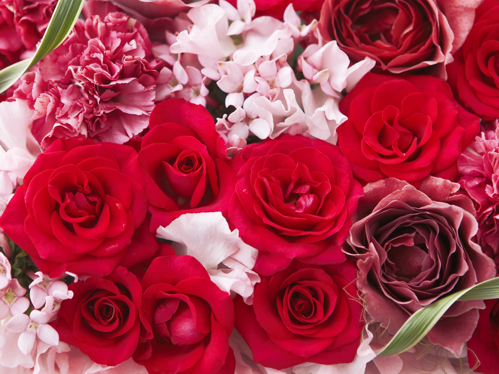 Flowers Gifts HD Wallpapers (1) #13 - 1600x1200