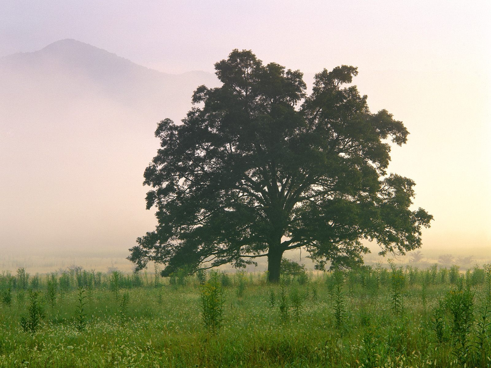 Webshots의 풍경 바탕 화면 (6) #5 - 1600x1200