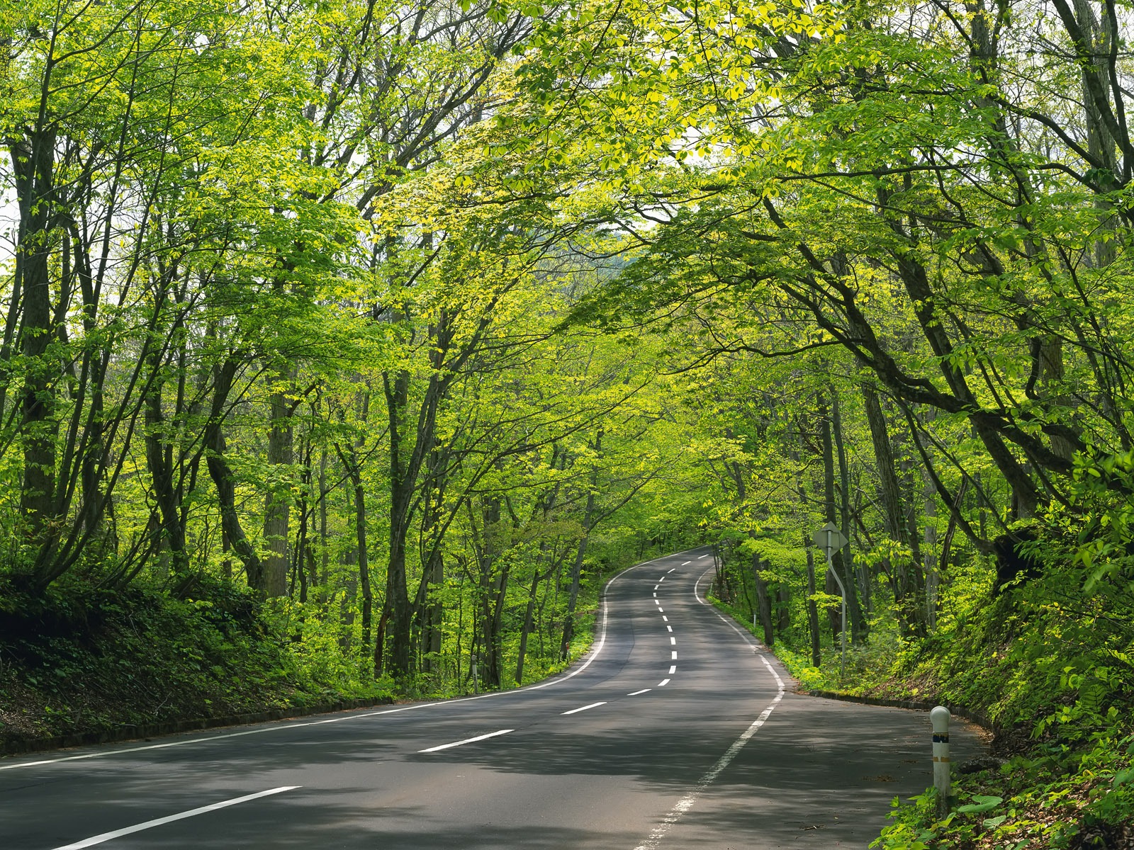 道路寫真壁紙 #33 - 1600x1200