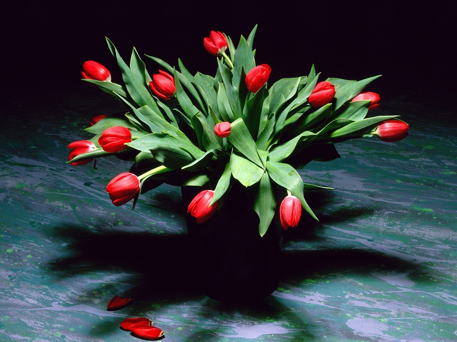 Květiny close-up (19) #15 - 1600x1200