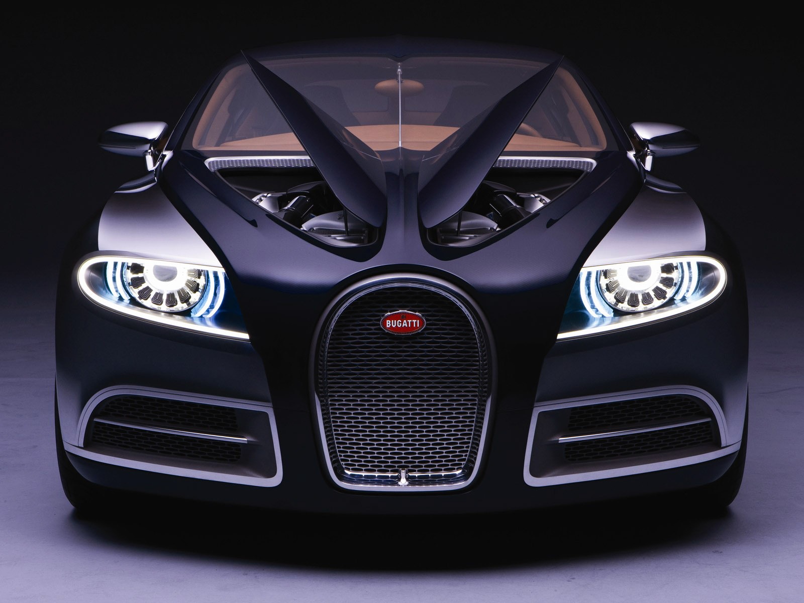 Bugatti Veyron Wallpaper Album (2) #1 - 1600x1200