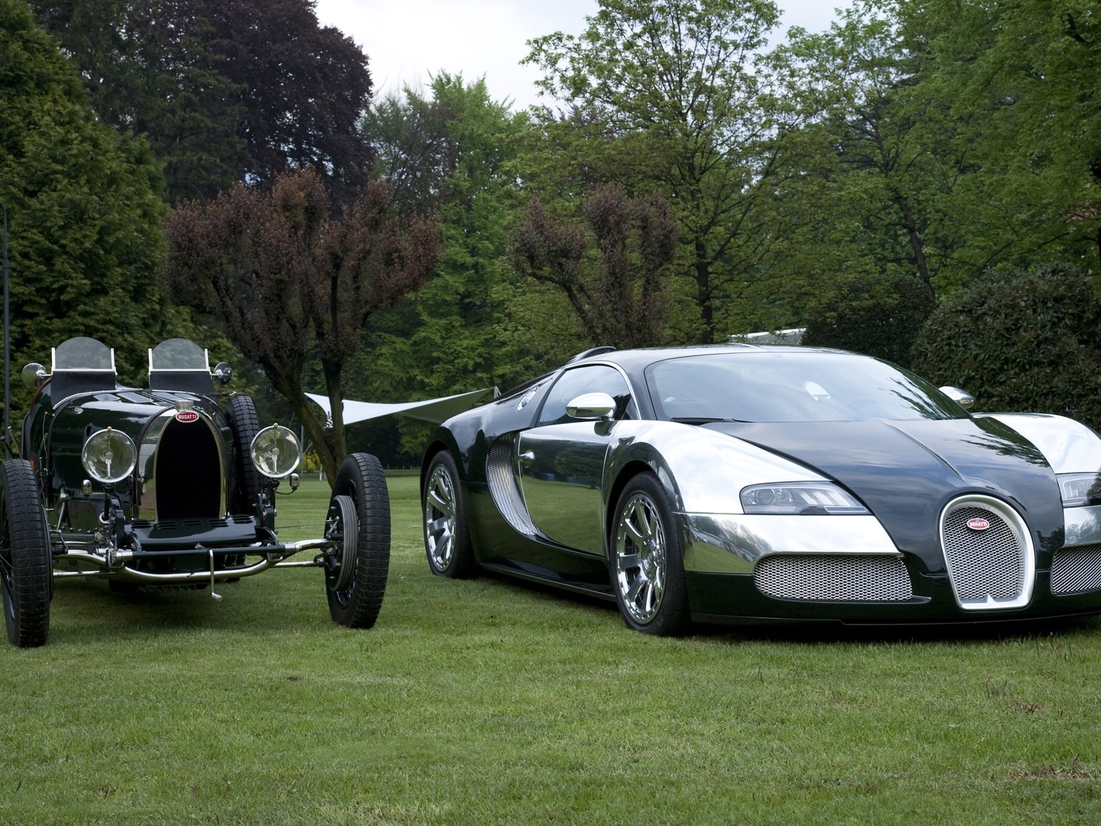 Bugatti Veyron Wallpaper Album (2) #12 - 1600x1200