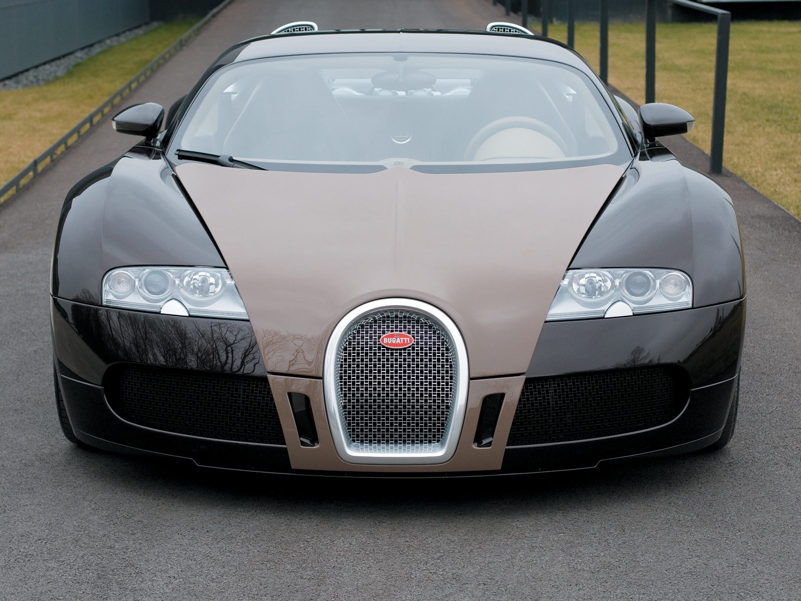 Bugatti Veyron обои Альбом (3) #8 - 1600x1200