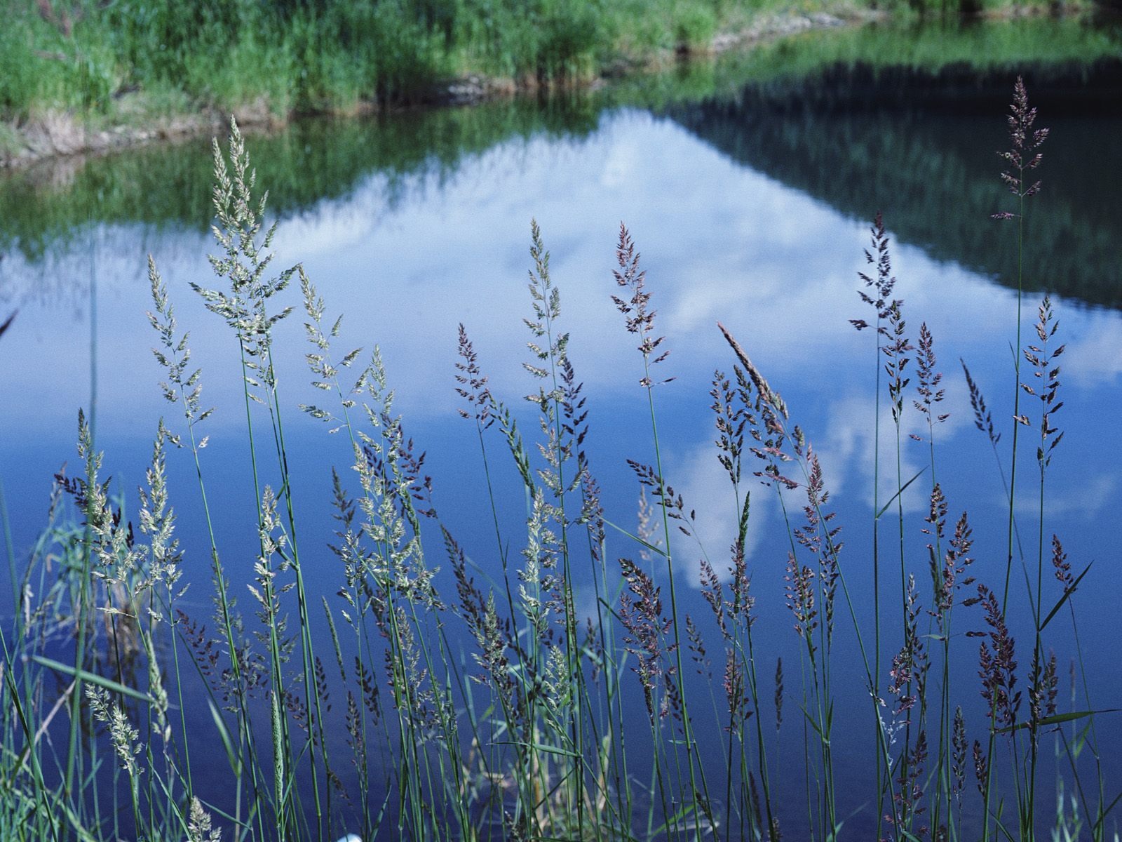 krásné přírodní scenérie Tapeta #8 - 1600x1200