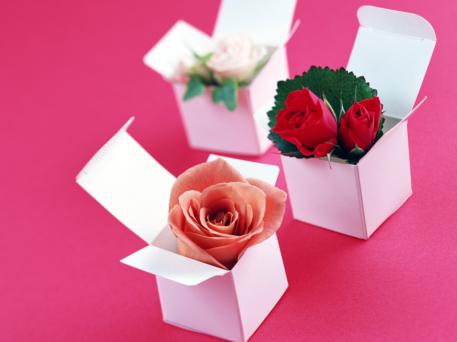 Flowers and gifts wallpaper (1) #1 - 1600x1200