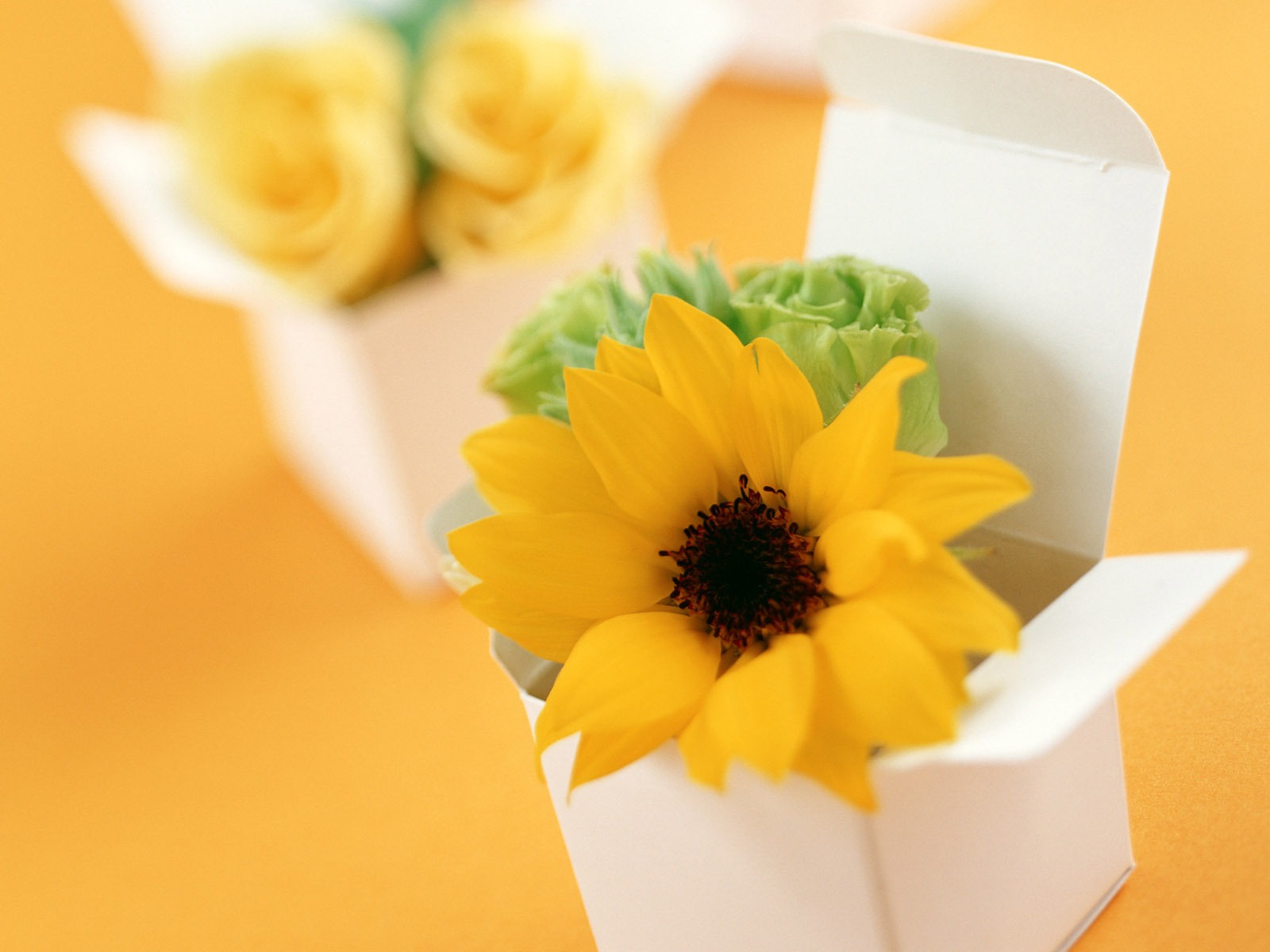 Flowers and gifts wallpaper (1) #5 - 1600x1200