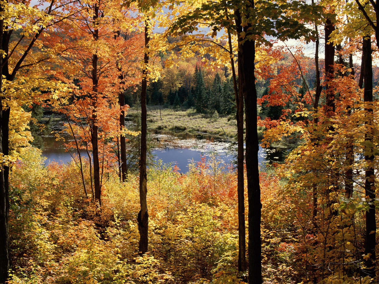 Wallpaper paisaje canadiense HD (2) #15 - 1600x1200