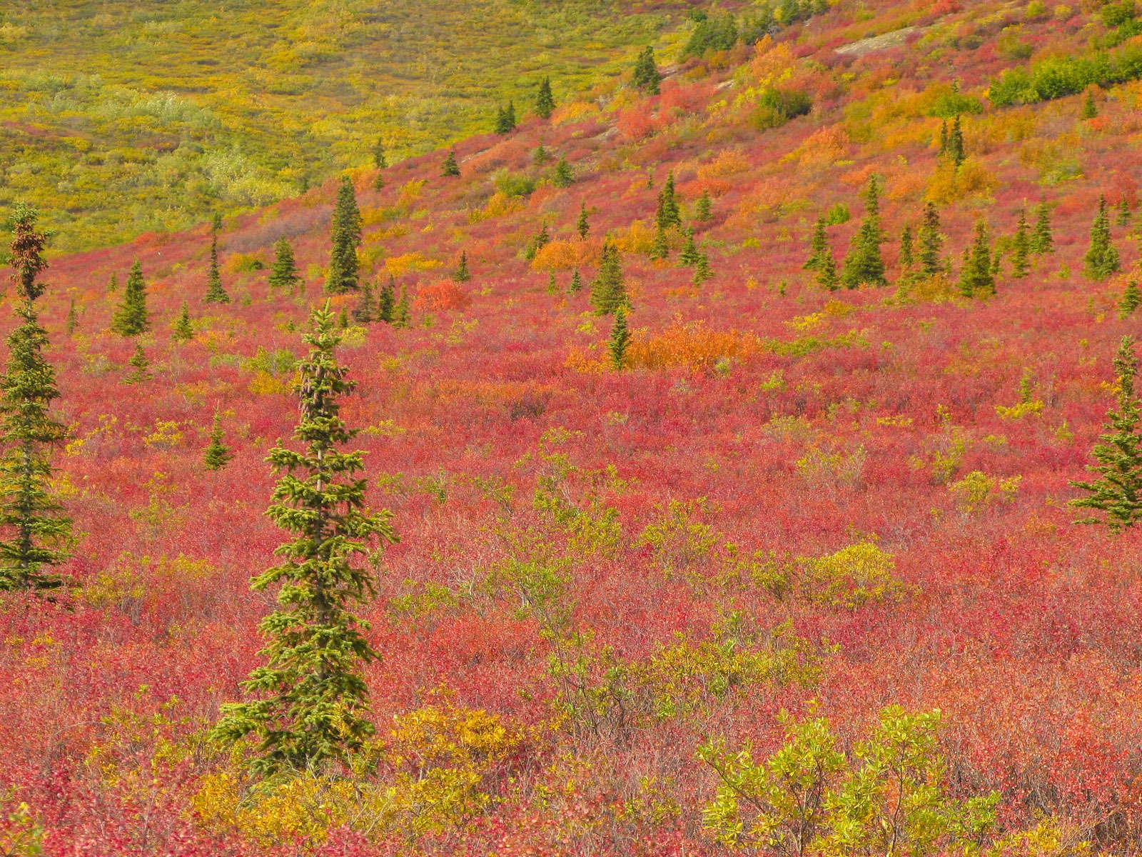 Fondos de escritorio de paisajes de Alaska (2) #2 - 1600x1200