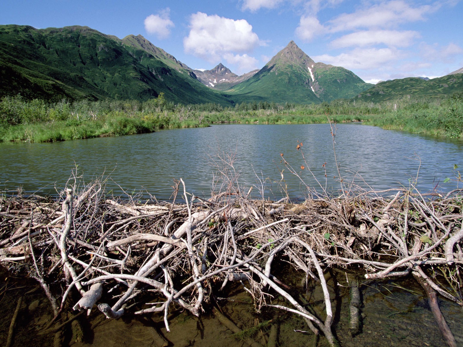 Fondos de escritorio de paisajes de Alaska (2) #9 - 1600x1200