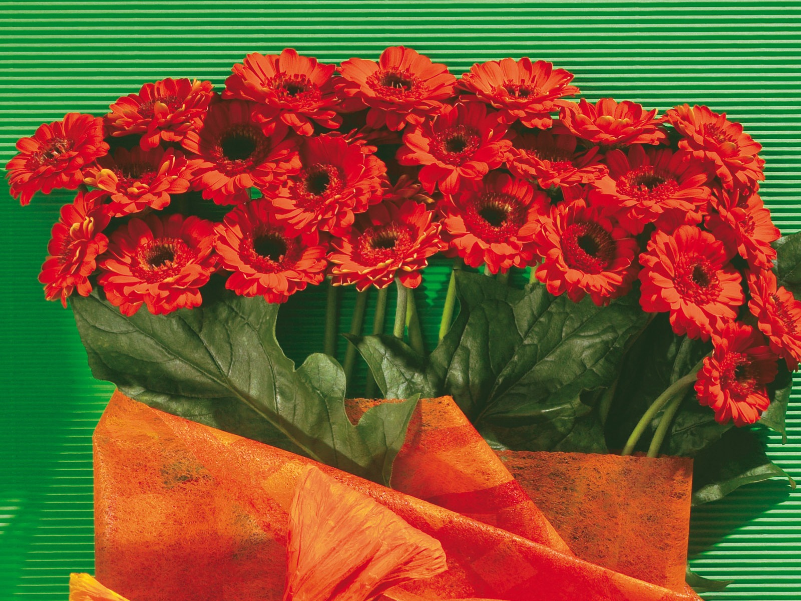fondos de escritorio de flores con pantalla ancha de cerca (5) #5 - 1600x1200