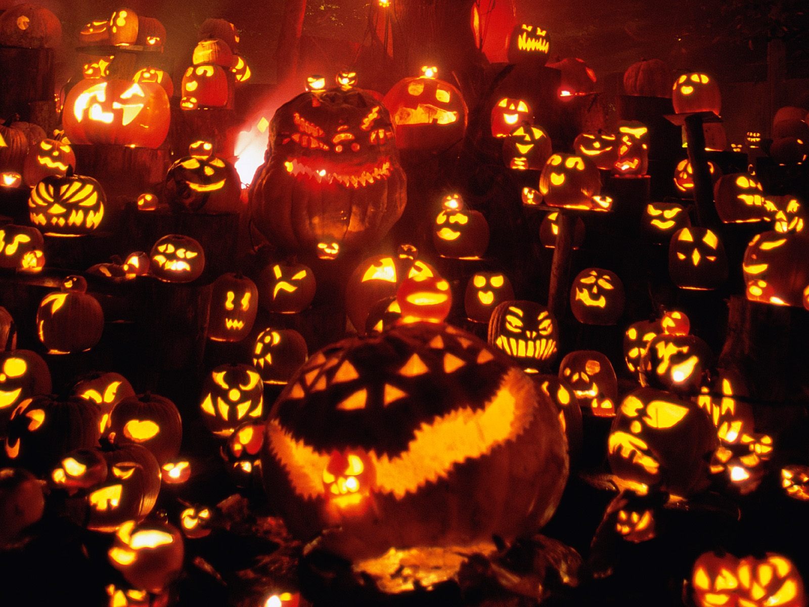 Halloween Téma Tapety na plochu (1) #5 - 1600x1200