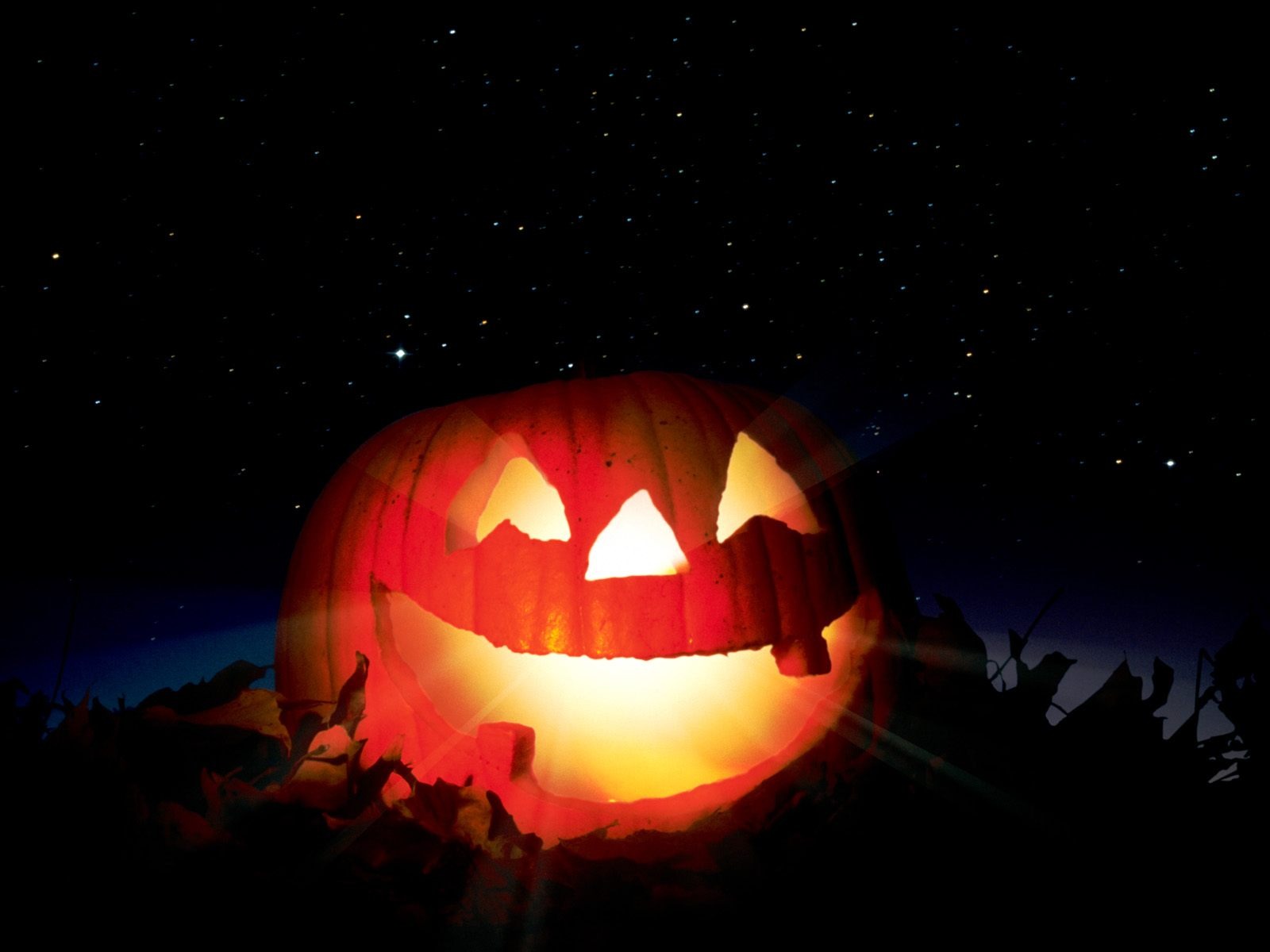 Fondos de Halloween temáticos (1) #10 - 1600x1200