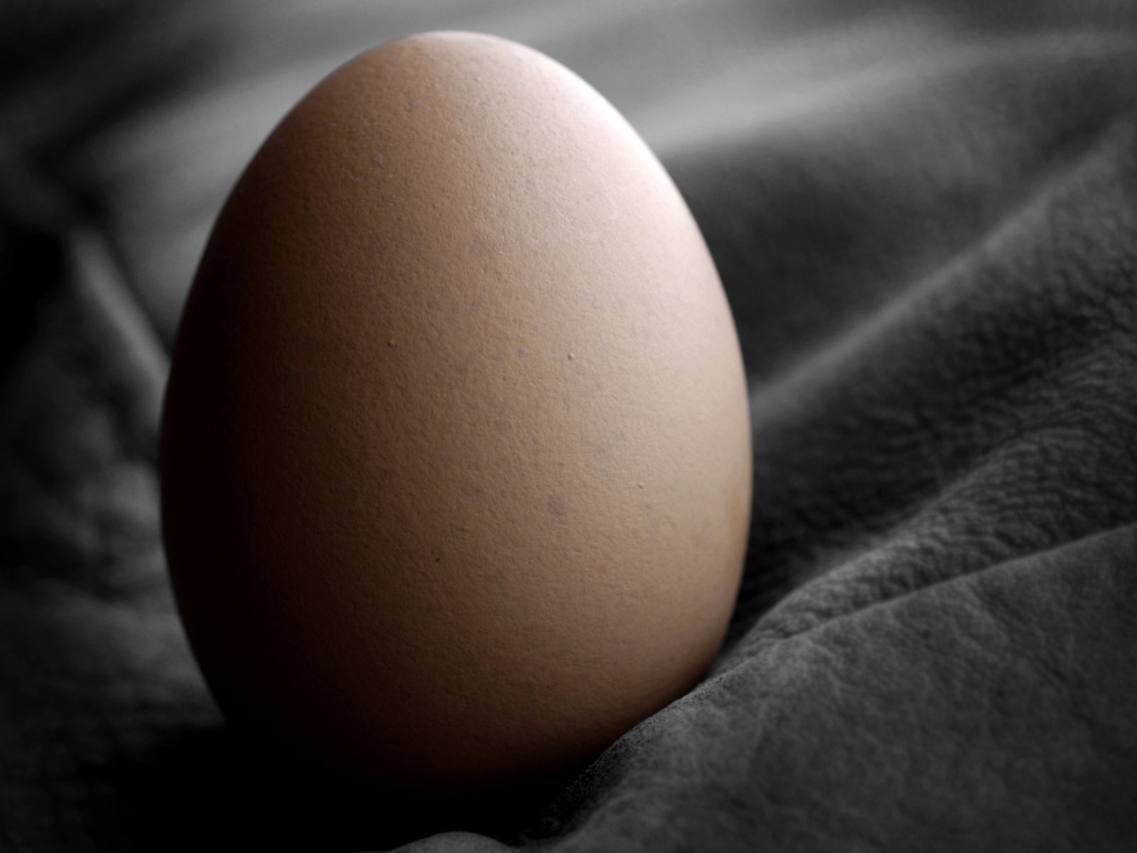 Velikonoční vajíčko tapetu (4) #16 - 1600x1200