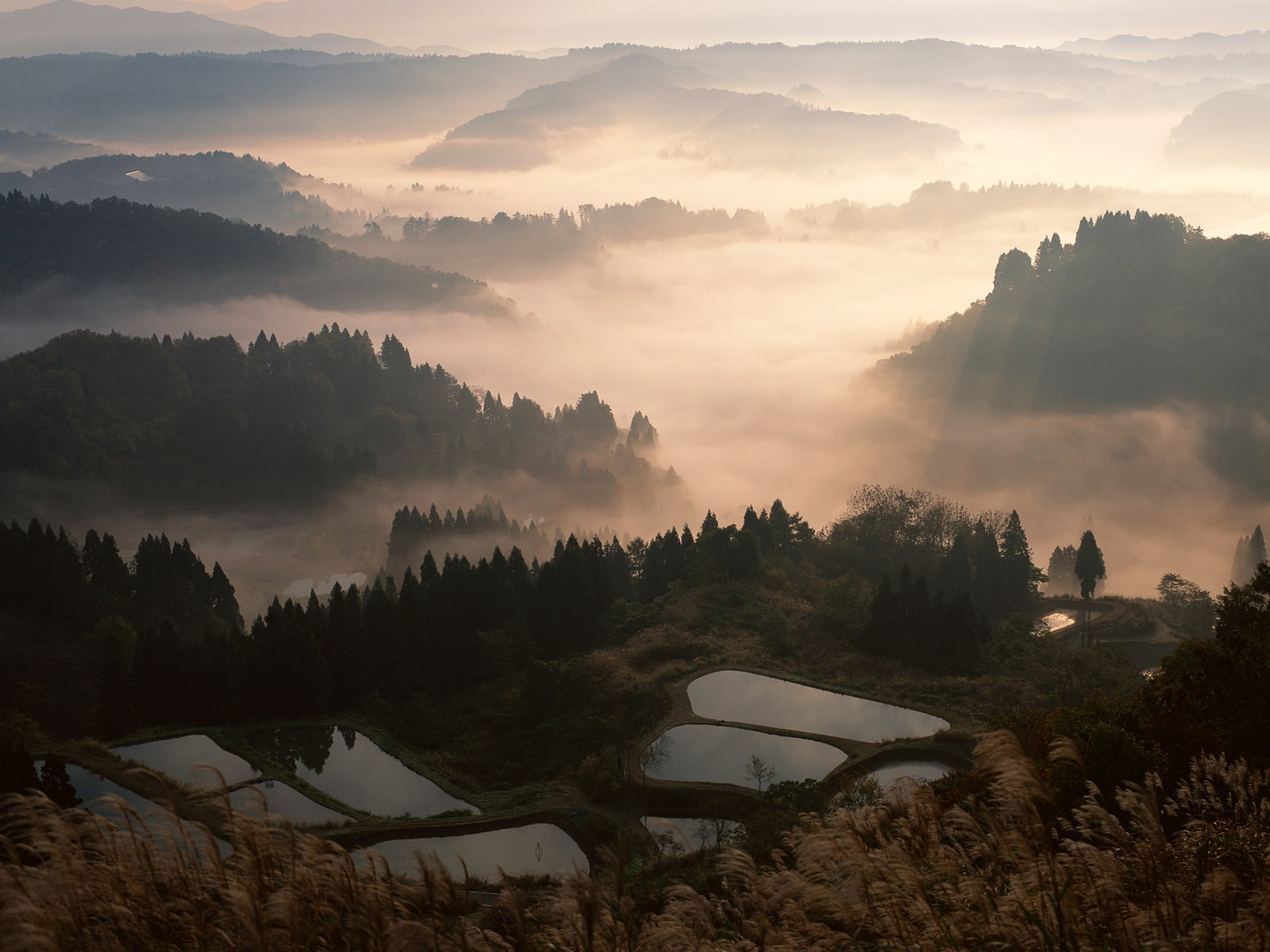 田間寫真壁紙 #4 - 1600x1200