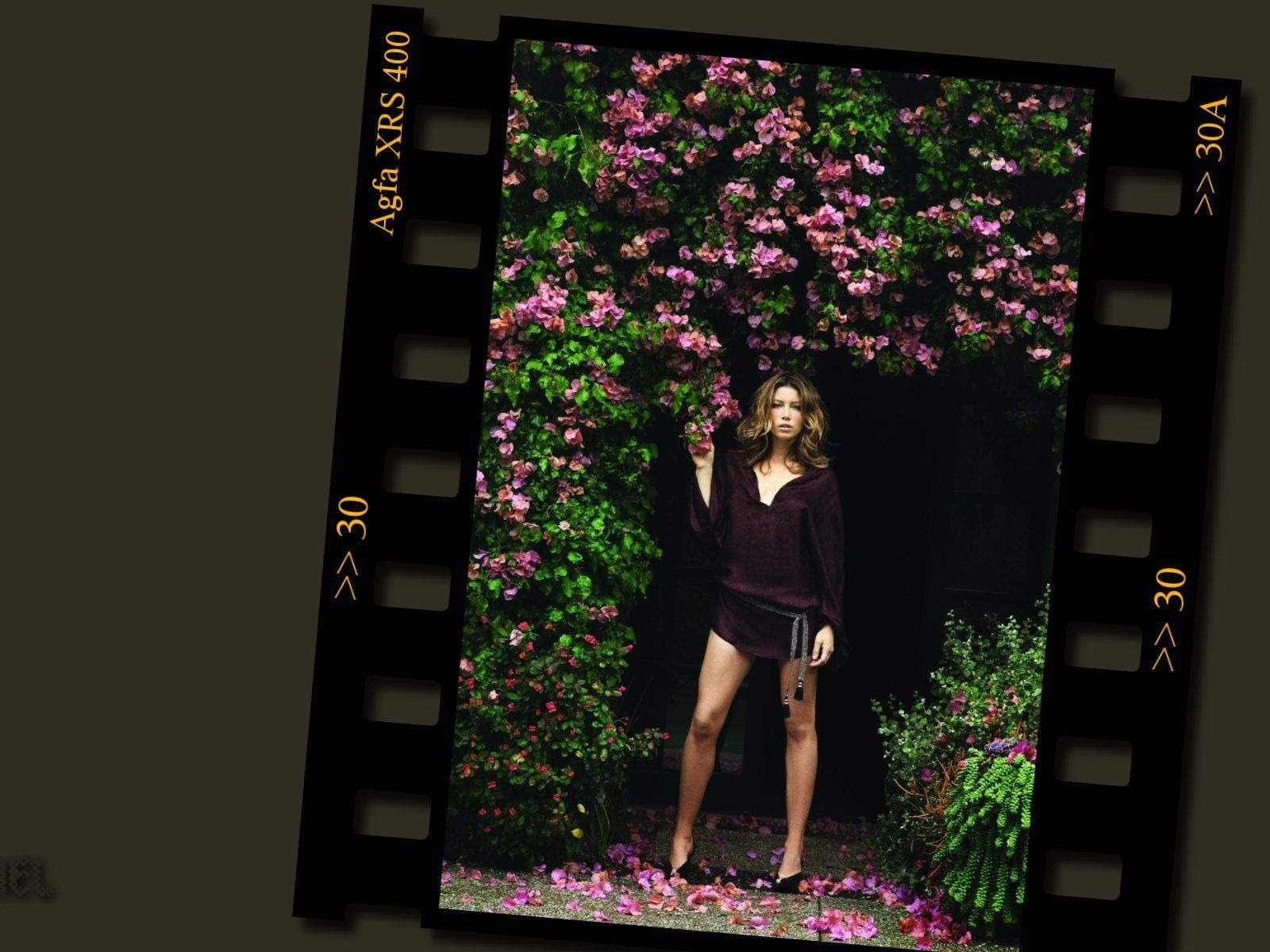 Jessica Biel 아름다운 벽지 #24 - 1600x1200