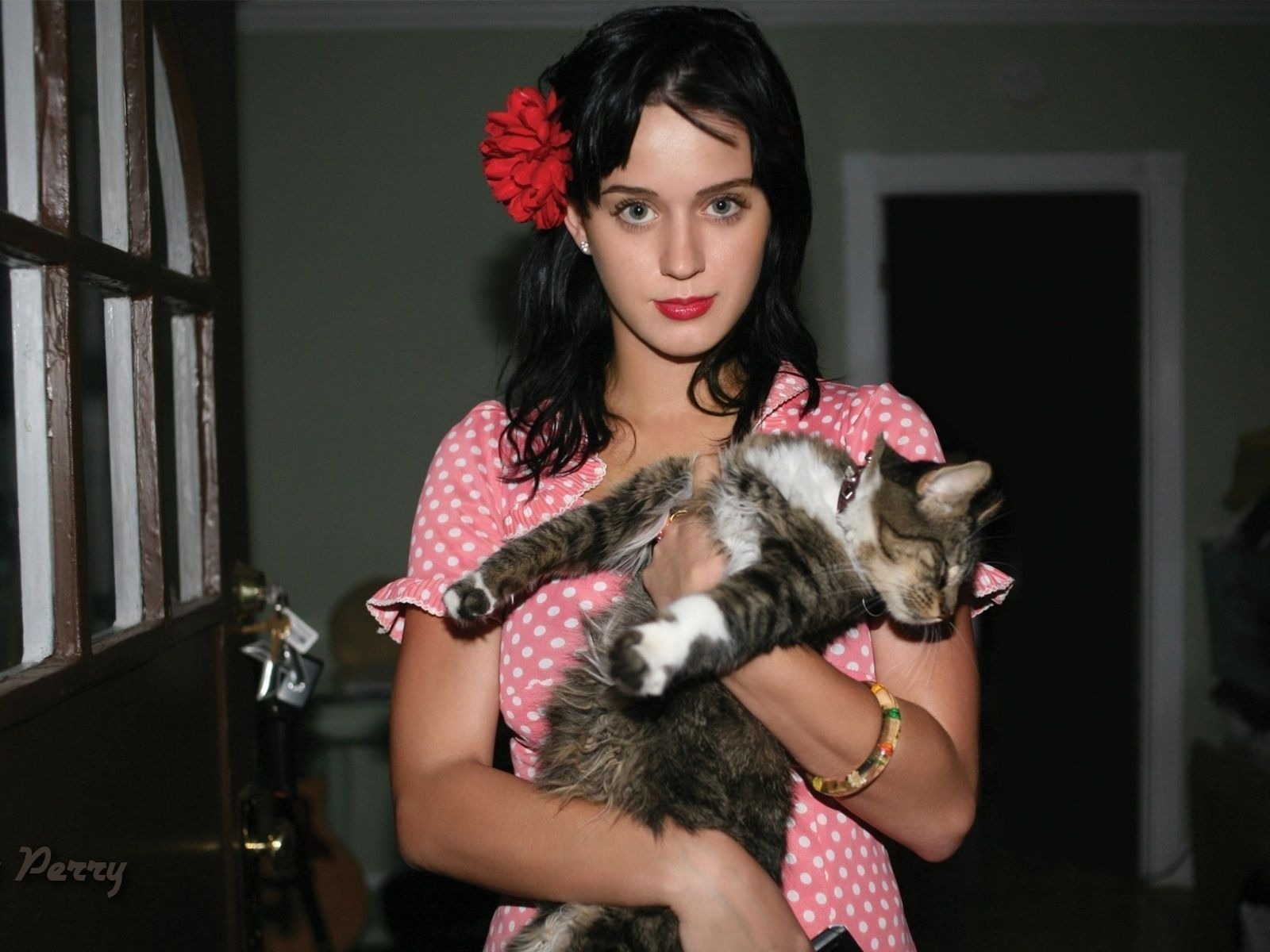 Katy Perry schöne Tapete #1 - 1600x1200