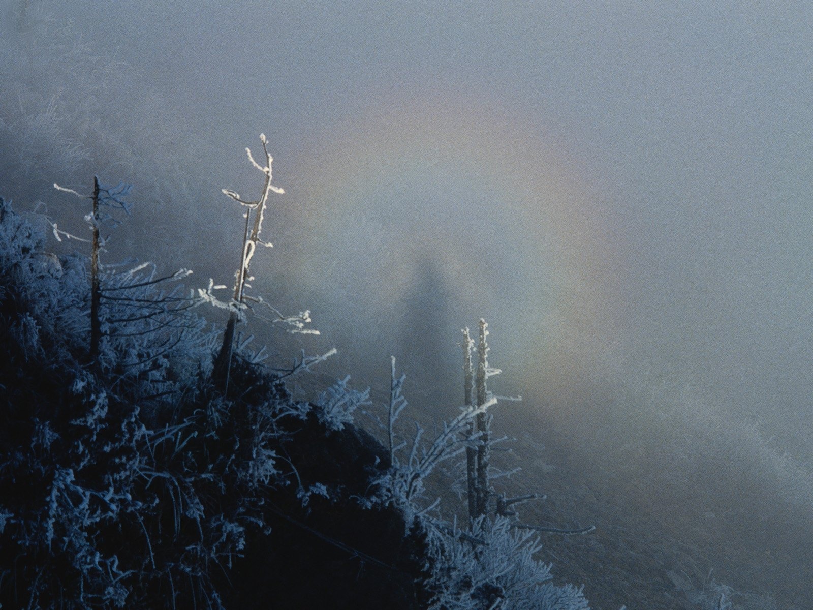 冬天雪景壁纸14 - 1600x1200