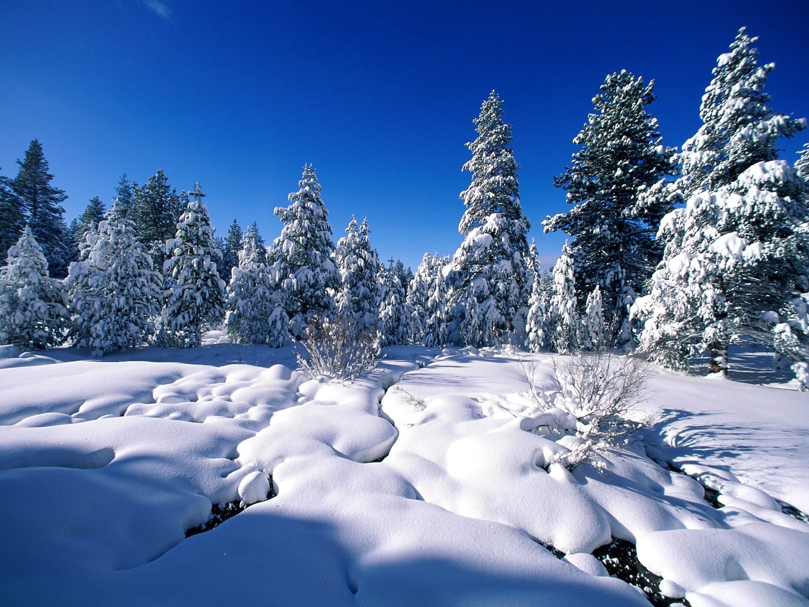 Invierno Nieve fondo de pantalla (2) #4 - 1600x1200