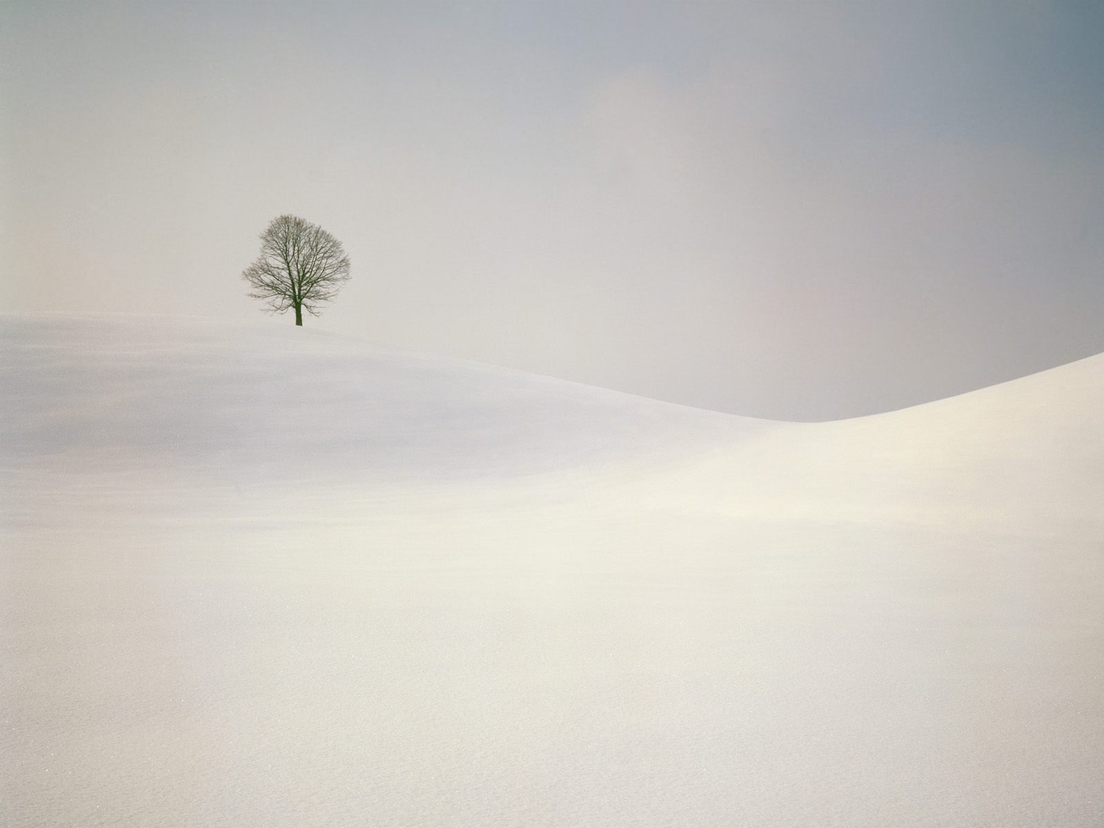 冬天雪景壁纸(二)17 - 1600x1200