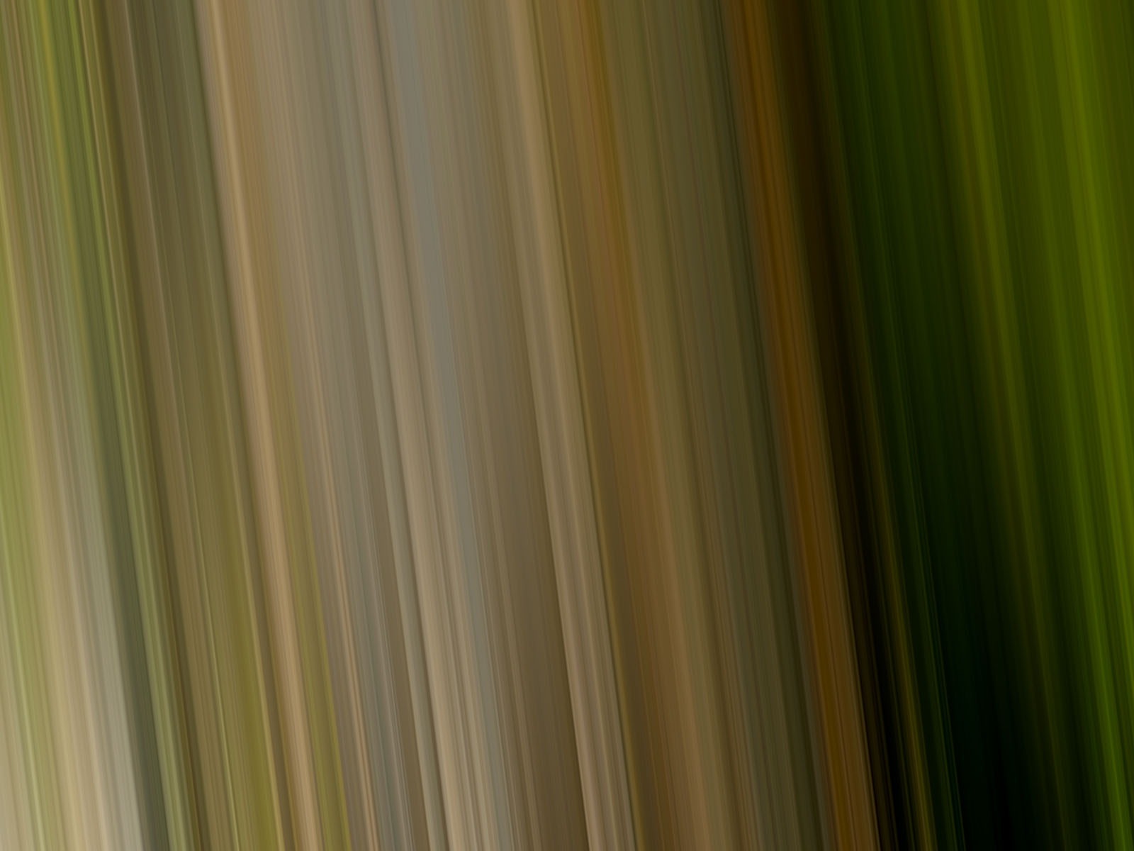 Яркие обои цвет фона (8) #4 - 1600x1200