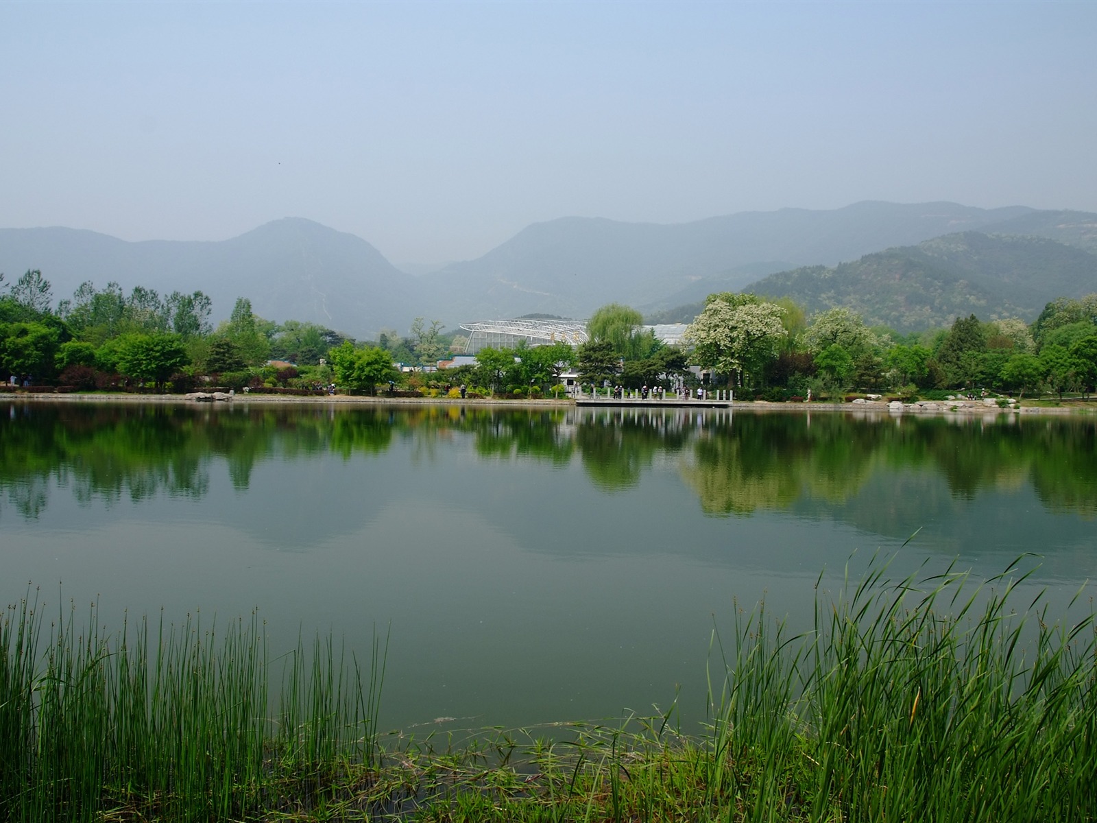 初夏的香山植物园 (螺纹钢作品)23 - 1600x1200