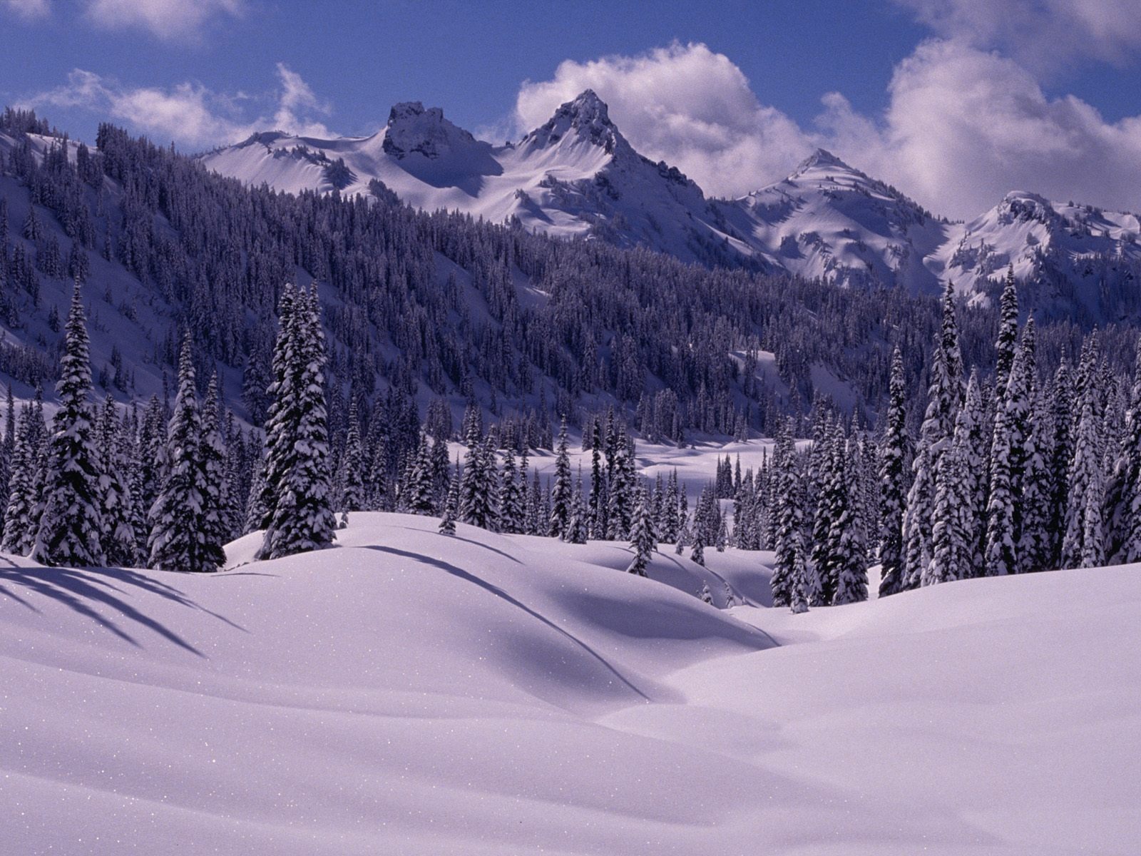 Invierno Nieve fondo de pantalla (3) #5 - 1600x1200