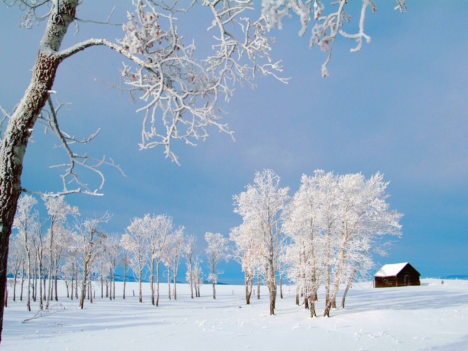 Invierno Nieve fondo de pantalla (3) #10 - 1600x1200