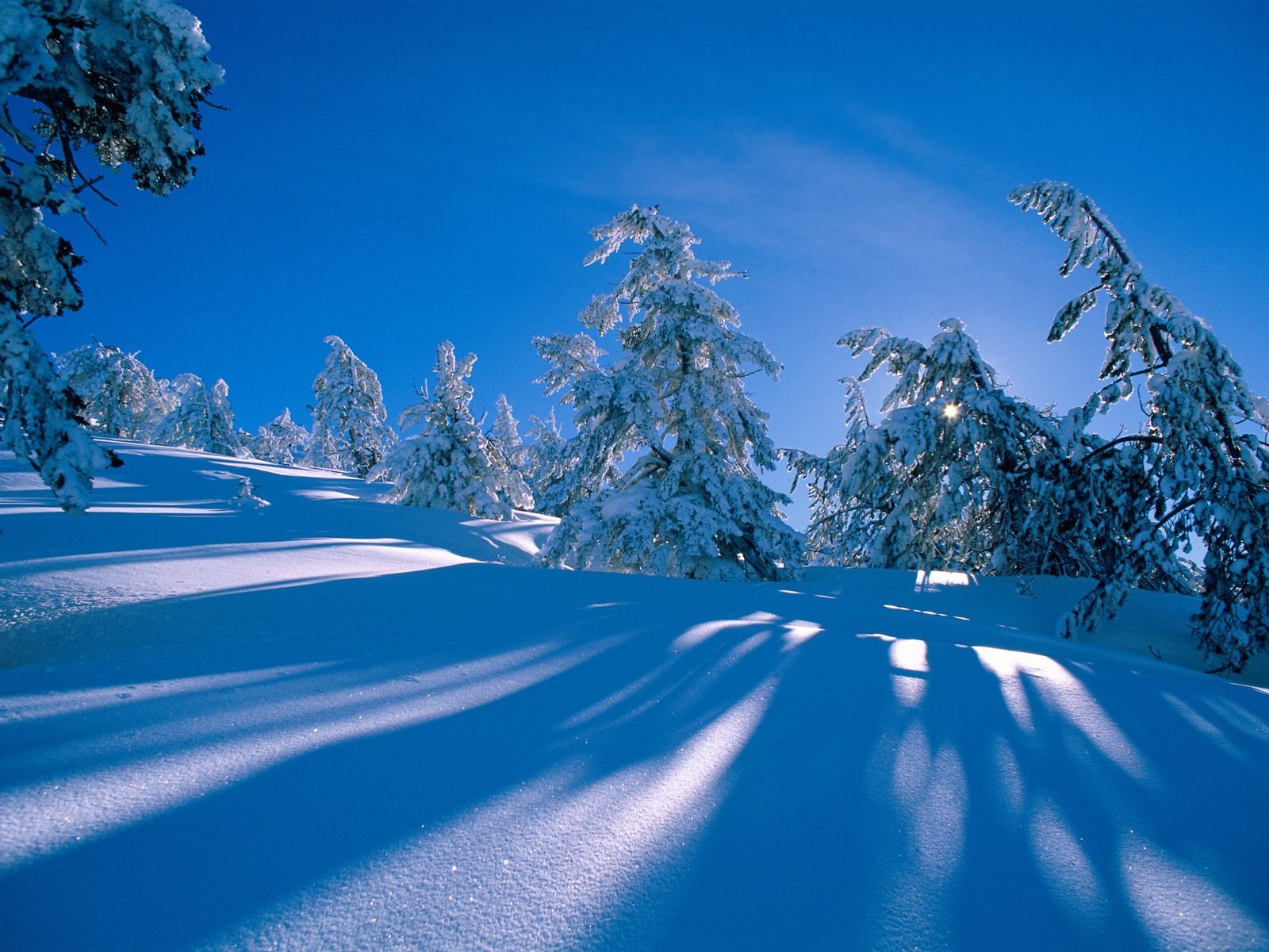 Invierno Nieve fondo de pantalla (3) #14 - 1600x1200