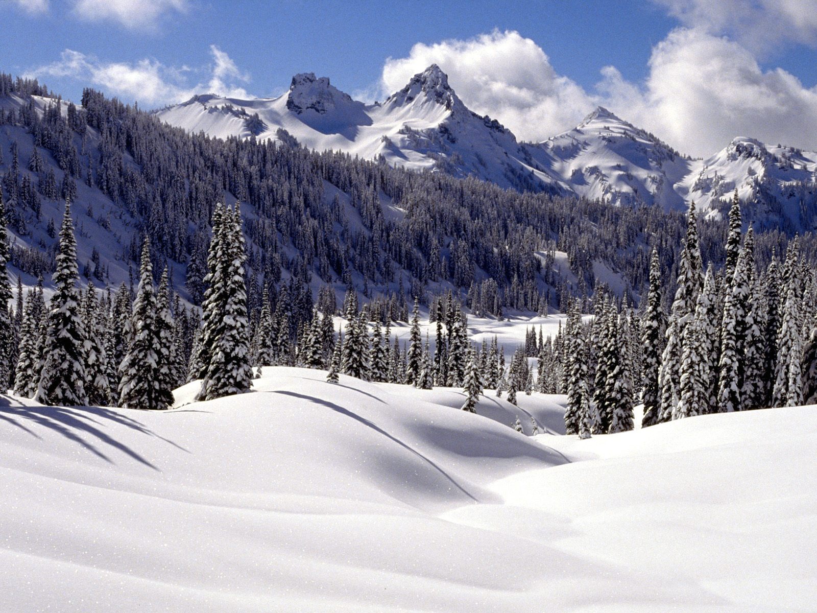 Invierno Nieve fondo de pantalla (3) #18 - 1600x1200