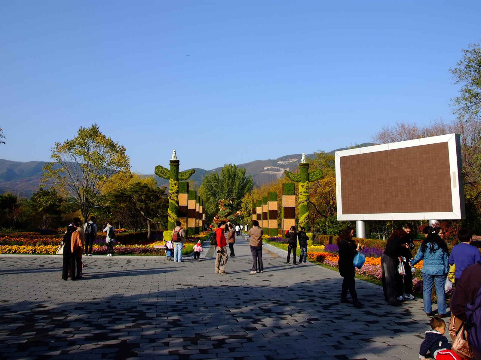 秋日的香山植物园 (螺纹钢作品)12 - 1600x1200