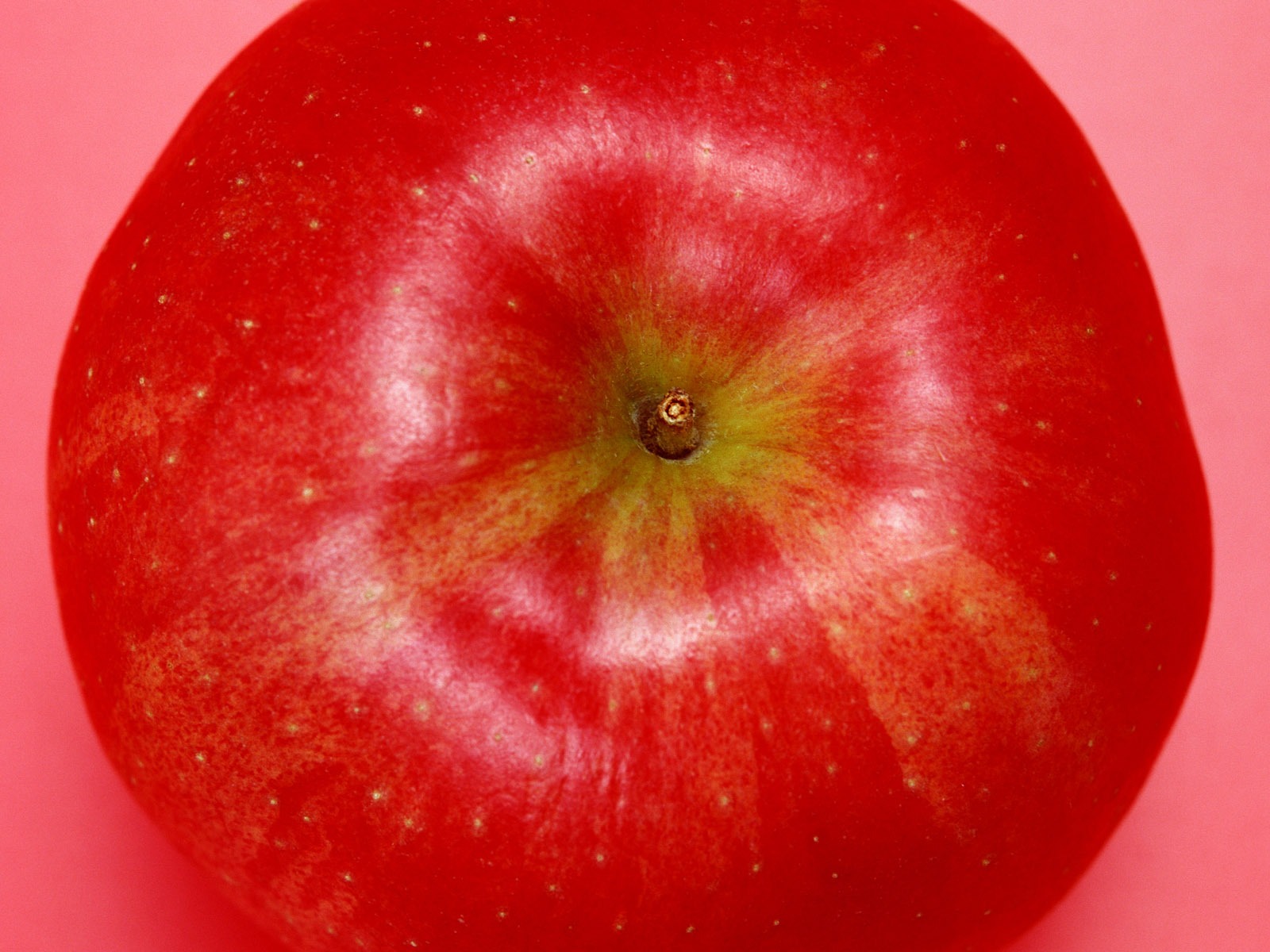 Fond d'écran photo de fruits (7) #4 - 1600x1200